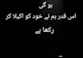 write beautiful urdu poetry, shayari and creative content